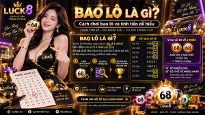 bao lô là gì